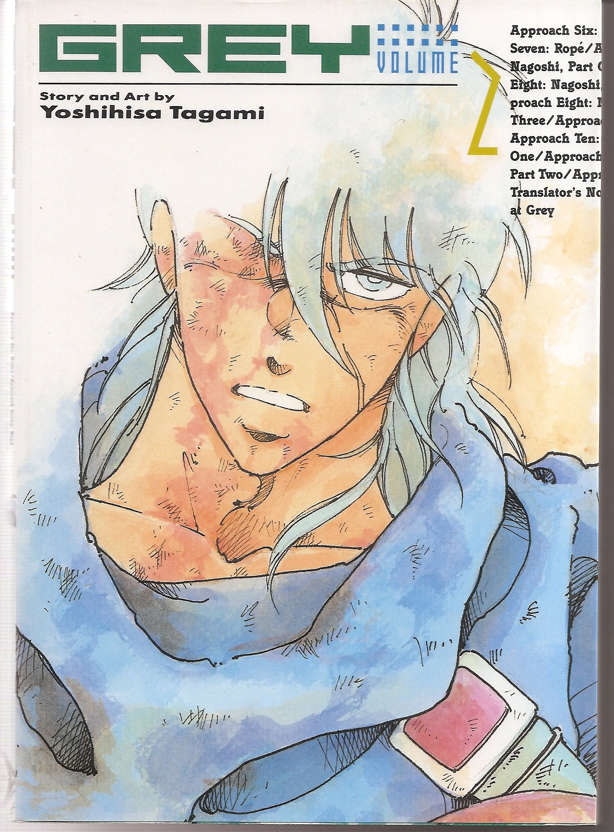 Grey: 002 (Viz Graphic Novel)