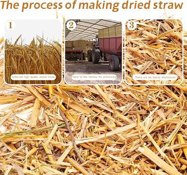 WNJ Natural Wheat Straw - 1 LB Dry Straw, Soft 100% Natural Straw Bale for Animal Bedding, Garden Mulch, Compost & Stray Cats Dogs Poultry, and Grass Cover