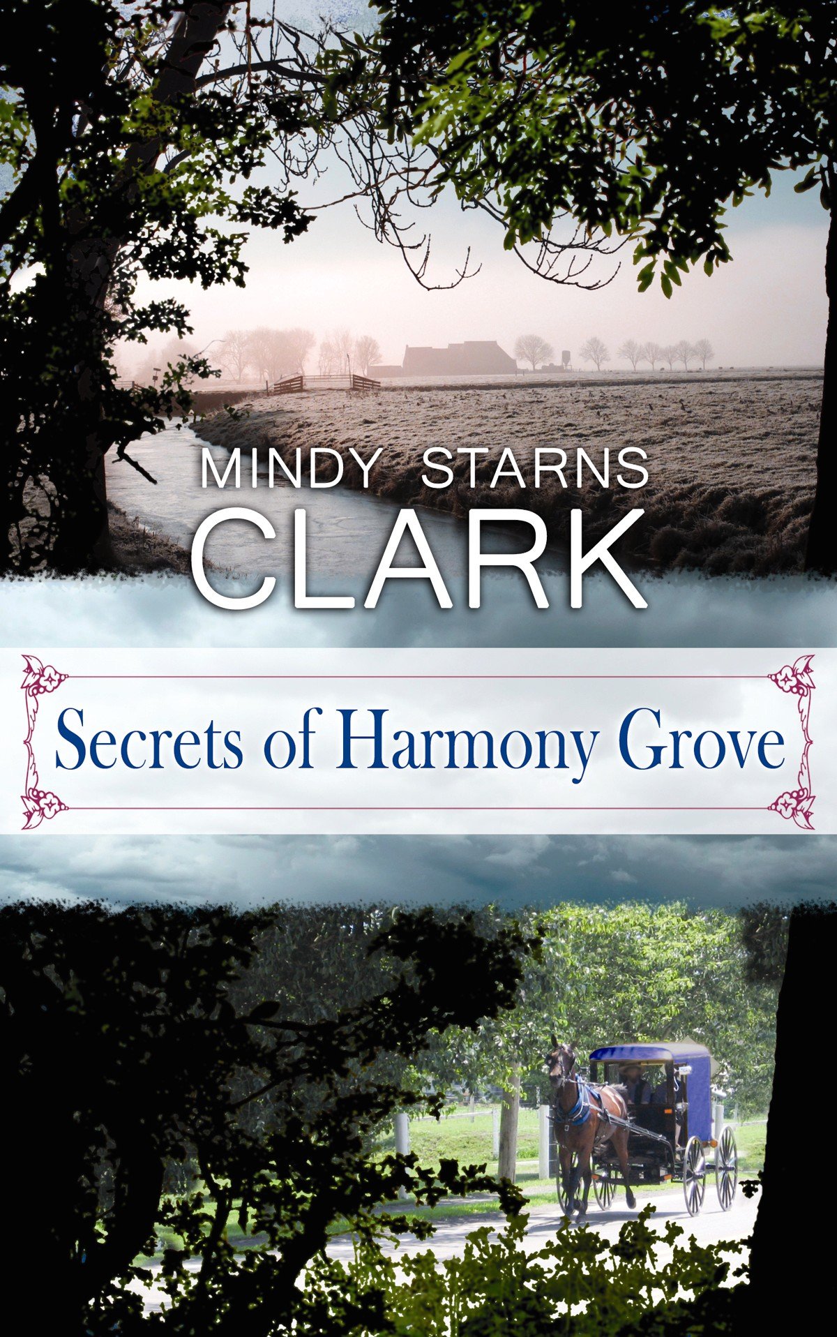 Buy Secrets of Harmony Grove — BookShops.in