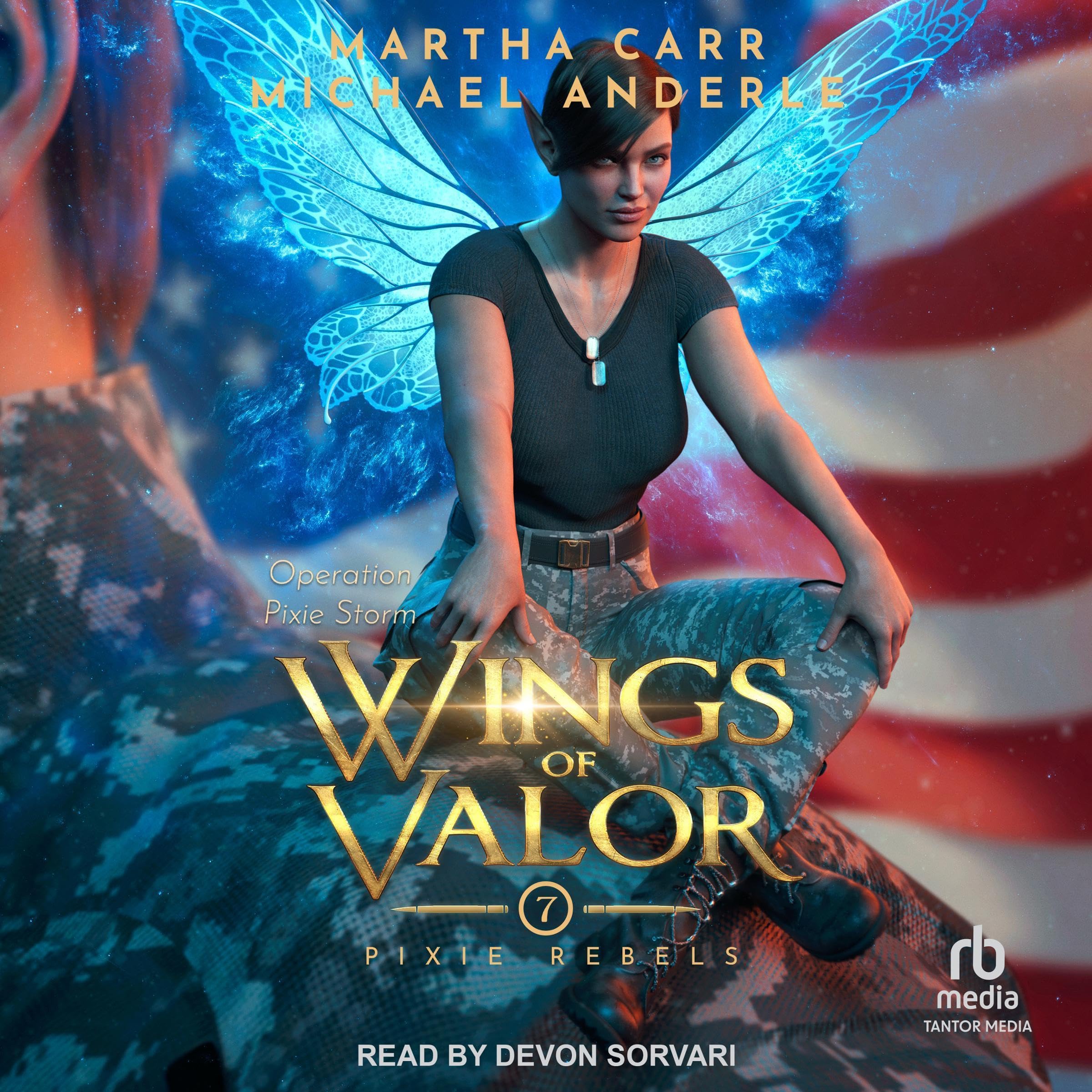 Cover art for Wings of Valor