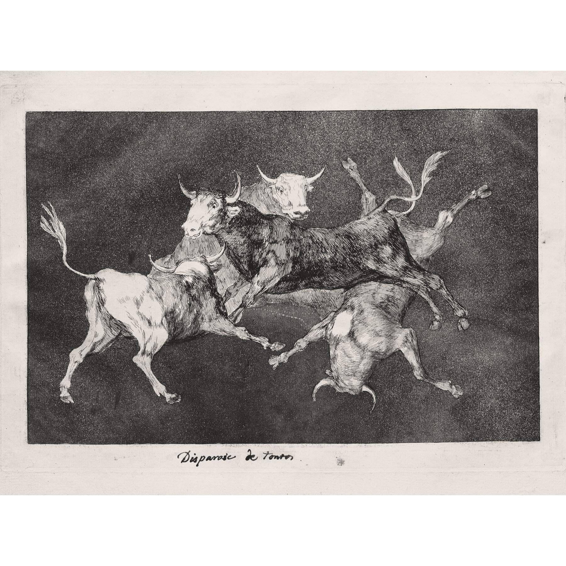 Goya Y Lucientes Francisco De Fools Folly Large Art Print Poster Wall Decor Premium Mural