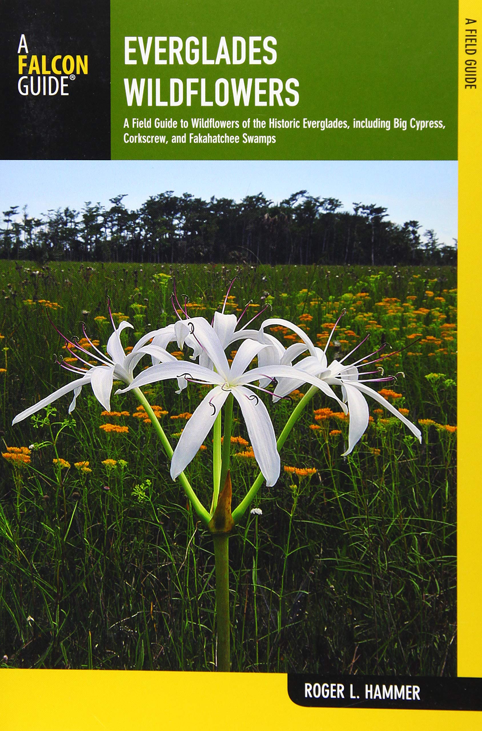 Everglades Wildflowers: A Field Guide to Wildflowers of the Historic Everglades, including Big Cypress, Corkscrew, and Fakahatchee Swamps (Wildflowers in the National Parks Series)