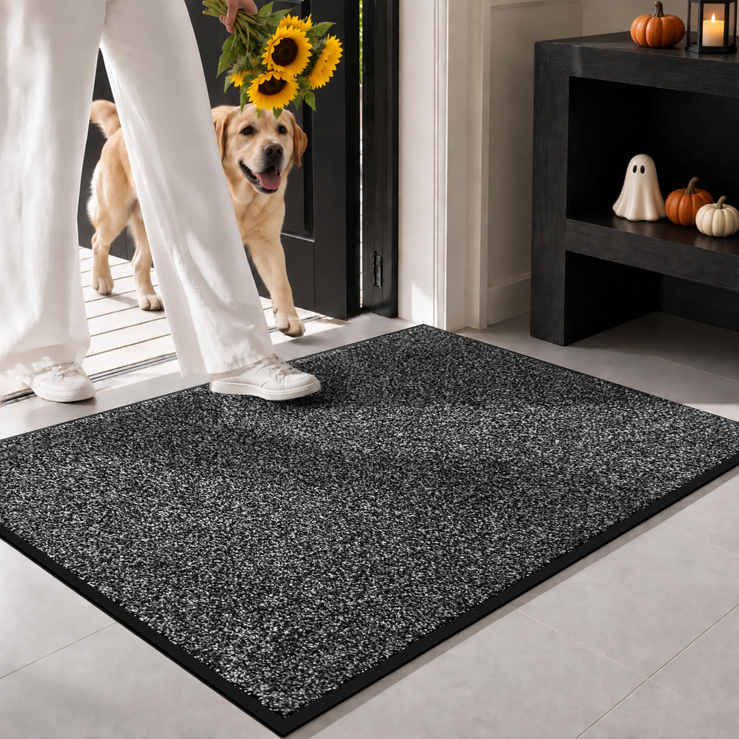 Mibao Super Absorbent Front Door Mat, 29.5" x 17", Non-Slip Washable Indoor Doormats, Low Profile Entryway Rug Outdoor, Dirt Resistant Welcome Mats for Front and Back Door Entrance, Grey