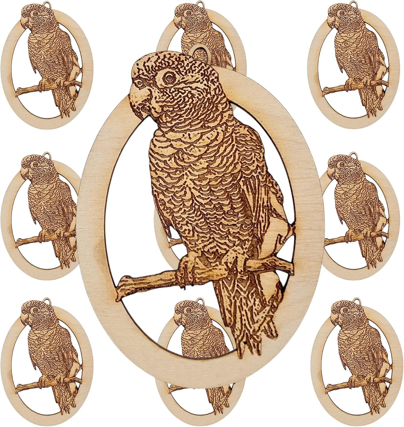 10PK Personalized Sun Conure Ornament, Gifts for Bird Owners, Bird Christmas Tree Ornaments, Parrot Lover Gifts