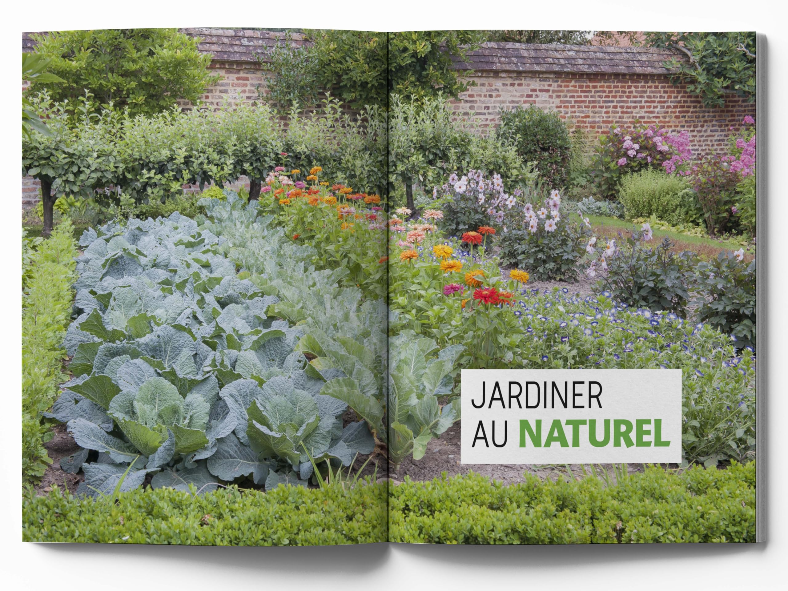 Le traité Rustica du potager