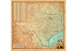 Exquisite Texas Wall Map