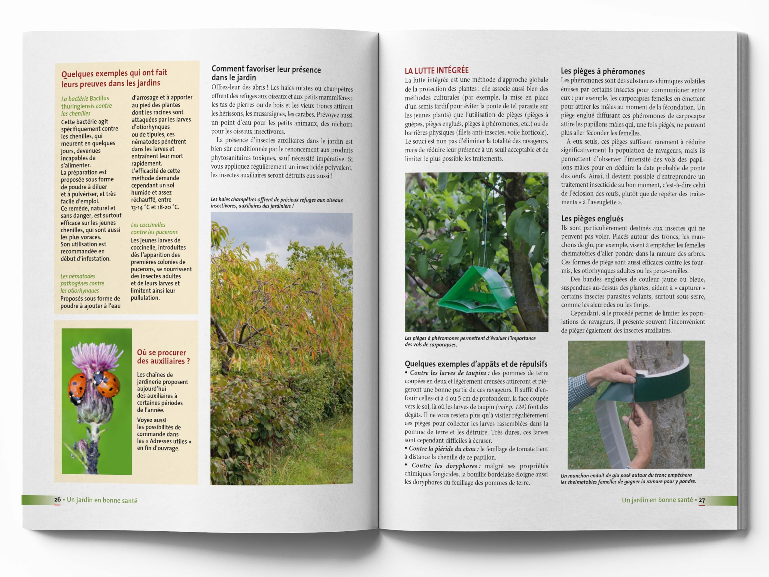Le traité rustica des maladies et des indésirables au jardin: Plante par plante