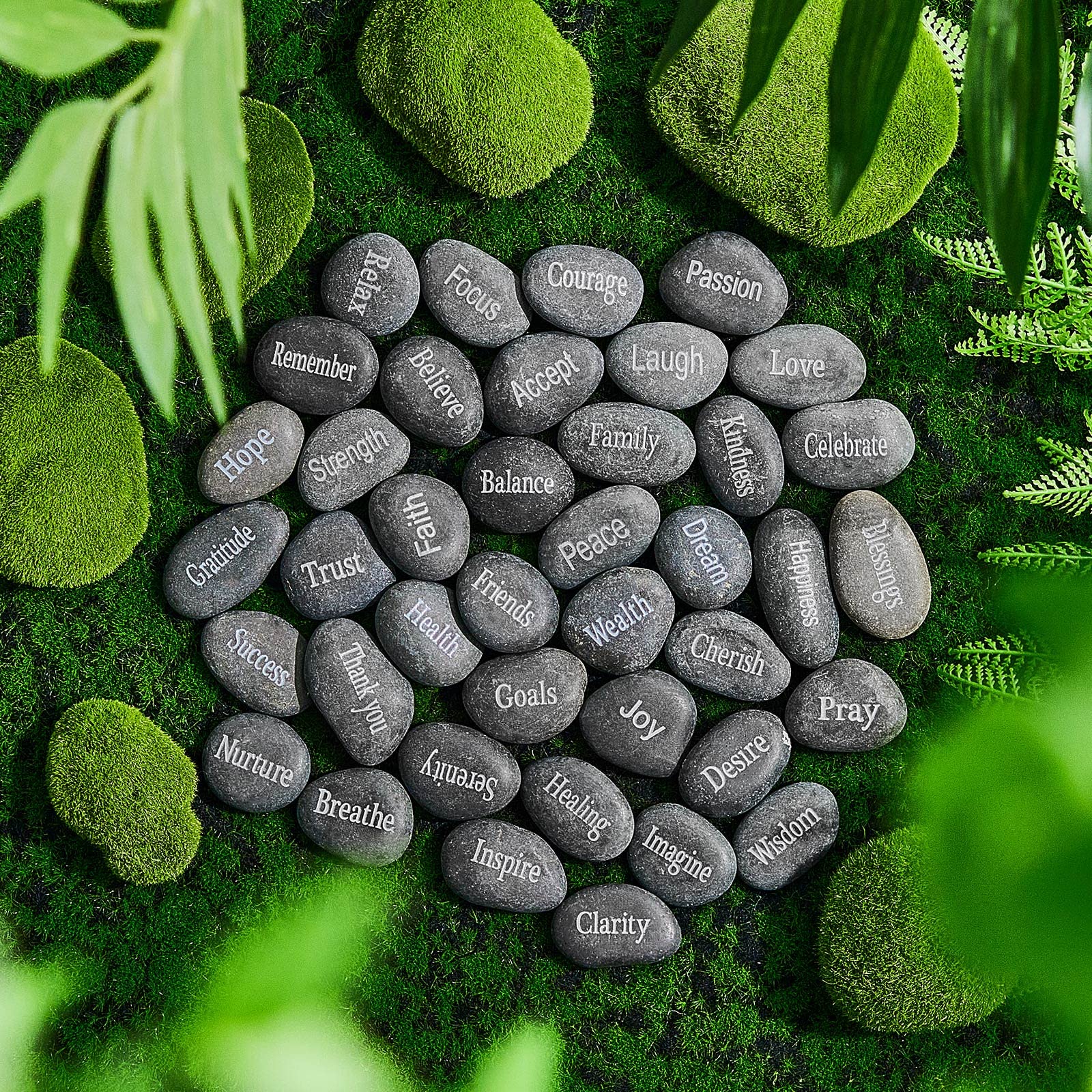 https://m.media-amazon.com/images/I/91Mnul6KEeL.jpg