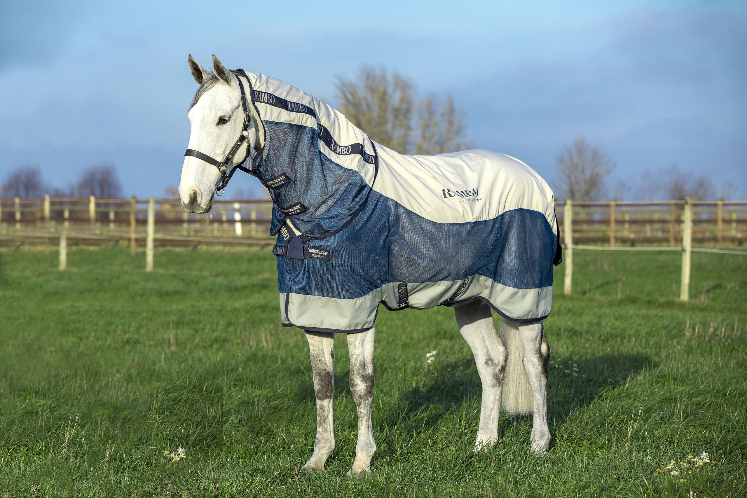 Couverture été Rambo Turnout pour protéger le cheval au pré des mouches