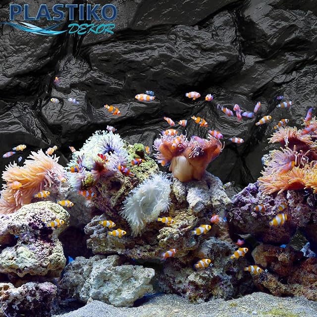 Foto 5 de 8 de PLASTIKO - Fondo de Acuario 3D I Pared Trasera 40 x 25 cm I Fácil de Montar y Limpiar I No Requiere Pegado I…