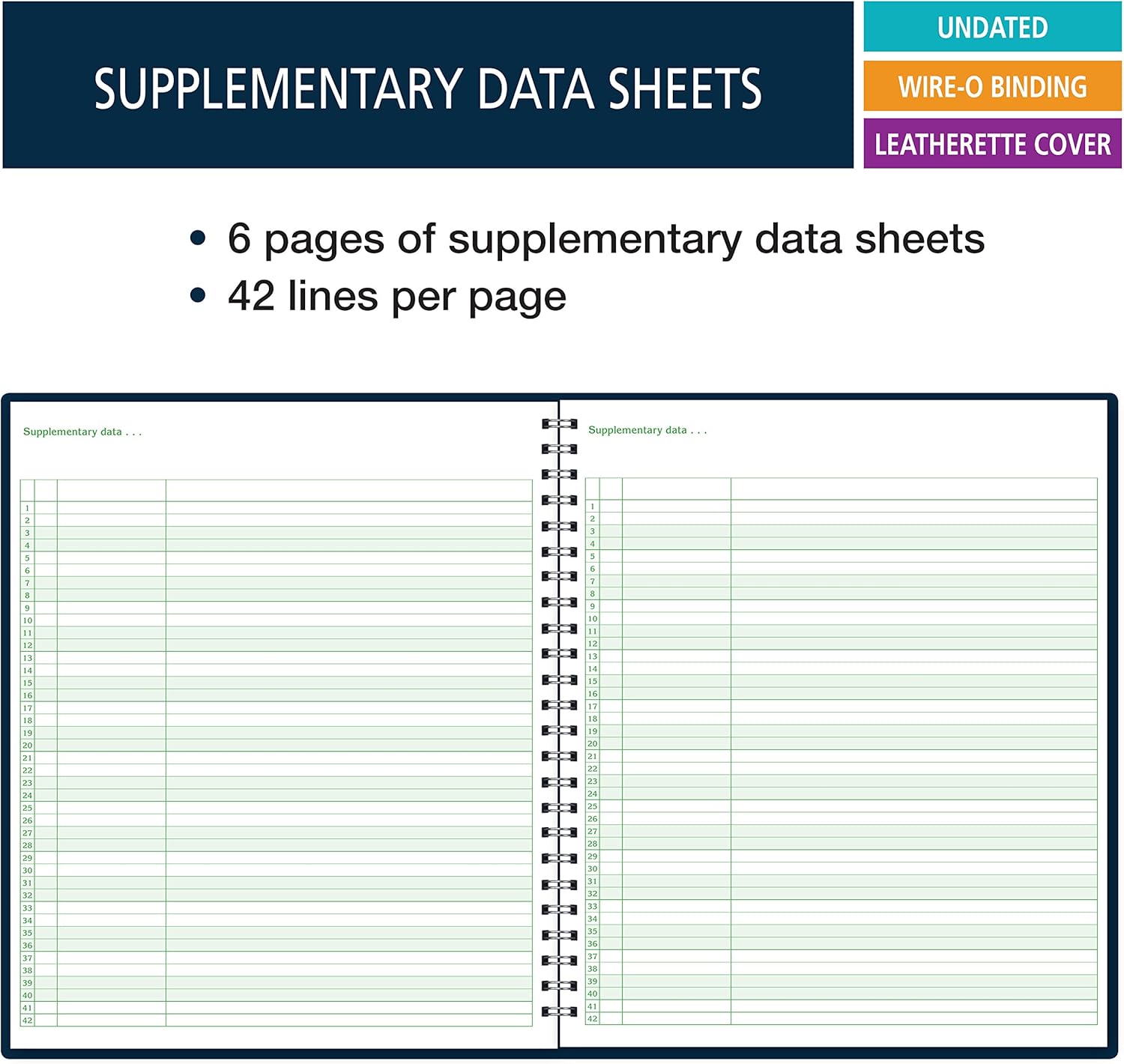 Extra Large (11"x13") Record Book for 6-10 Weeks; Extra-Large Squares (1/4") 42 Student Names (King Record) : Office Products