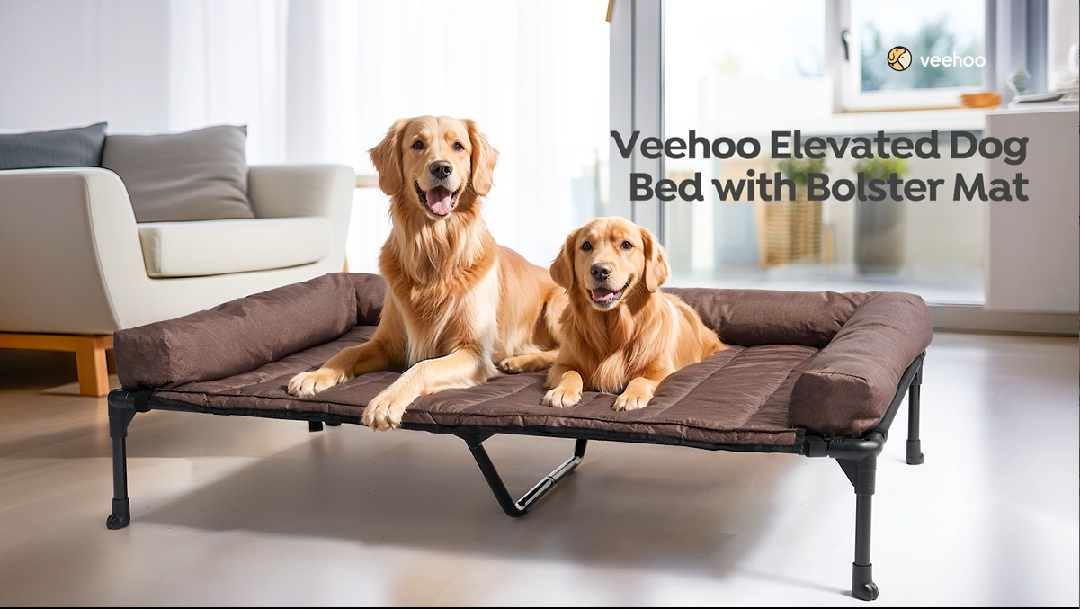 Amazon | Veehoo犬 ベッドペットベッド大型犬 ベッド高架犬用ベッド