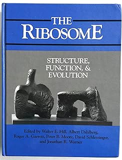 The Ribosome: Structure, Function, & Evolution