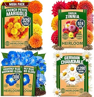 HOME GROWN Flower & Herb Seeds – 4 Pack: Marigold, Zinnia Dahlia, Morn...