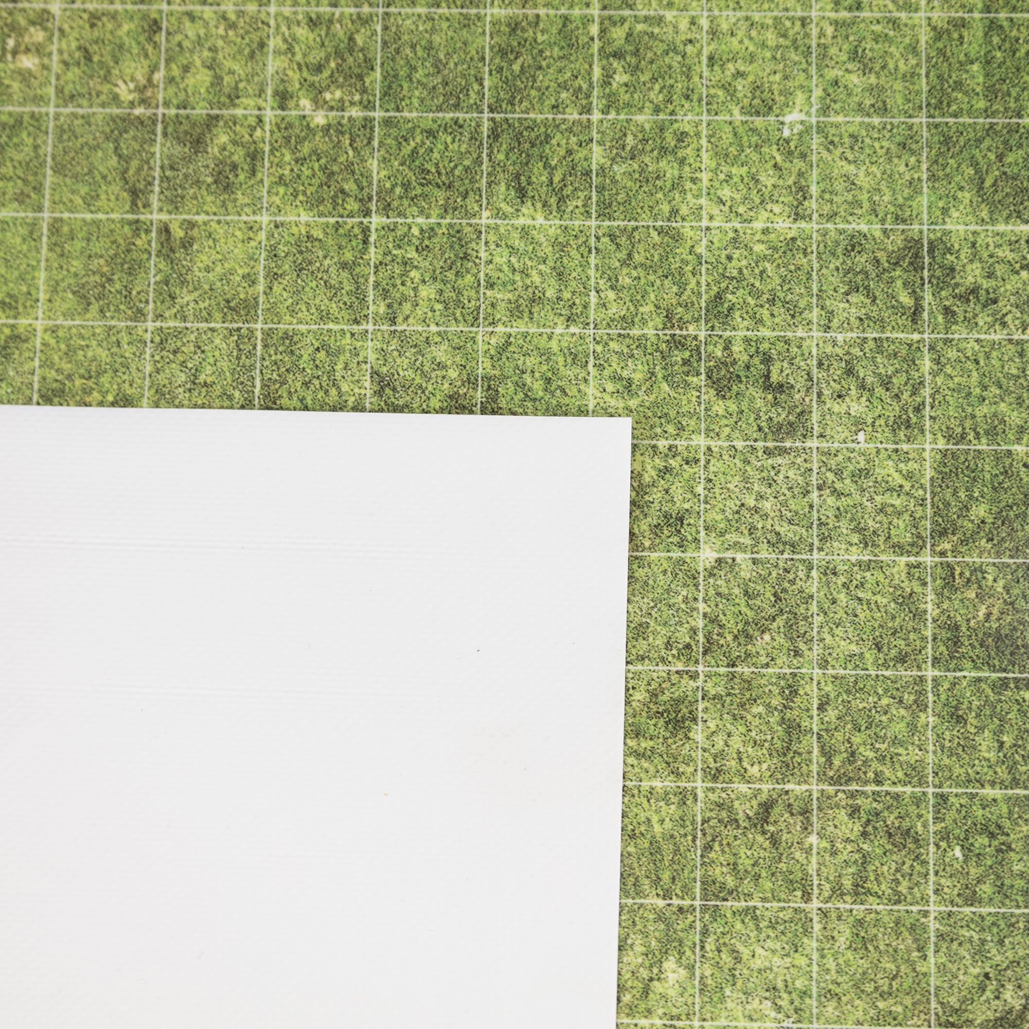 PLAYMATS Trockenlöschmatte RPG 80x80cm mit Gitter - trocken abwischbare Kampfmatte für Rollenspiele, Dungeons and Dragons (D&D), Pathfinder - Gras (quadratisch), Grass