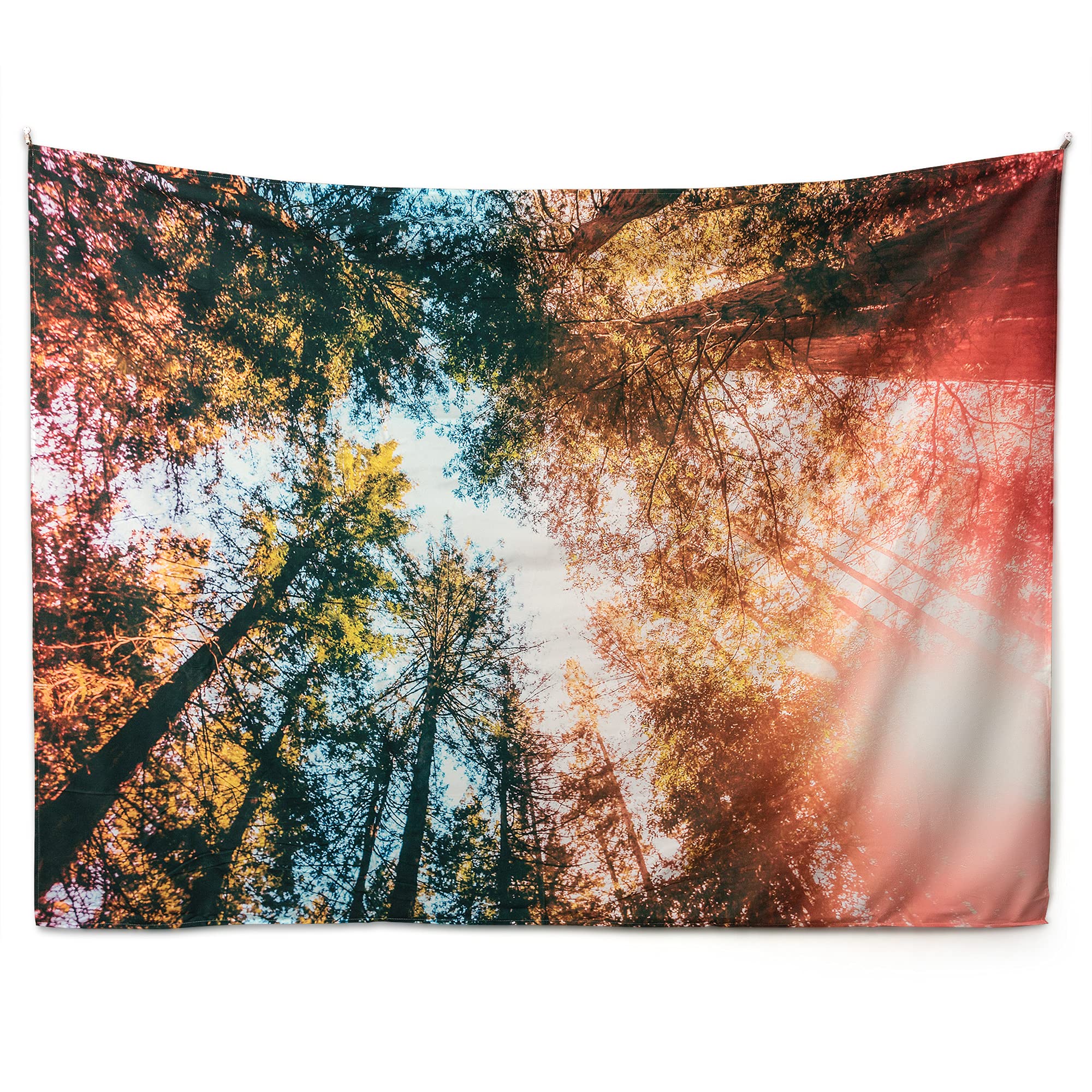 riijk Tapestry Forest Large 200 x 150 cm Motif "Forest Sky View Design" Can also be used as a play mat. Large wall towel for a great room atmosphere - Image 3
