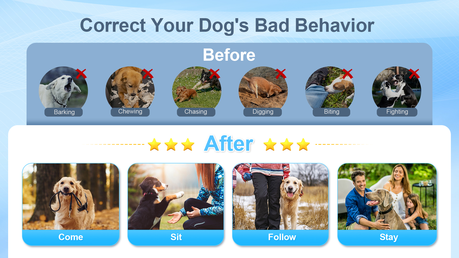 Correcting Dog Behavior: Effective Tips to Transform Your Pup Fast