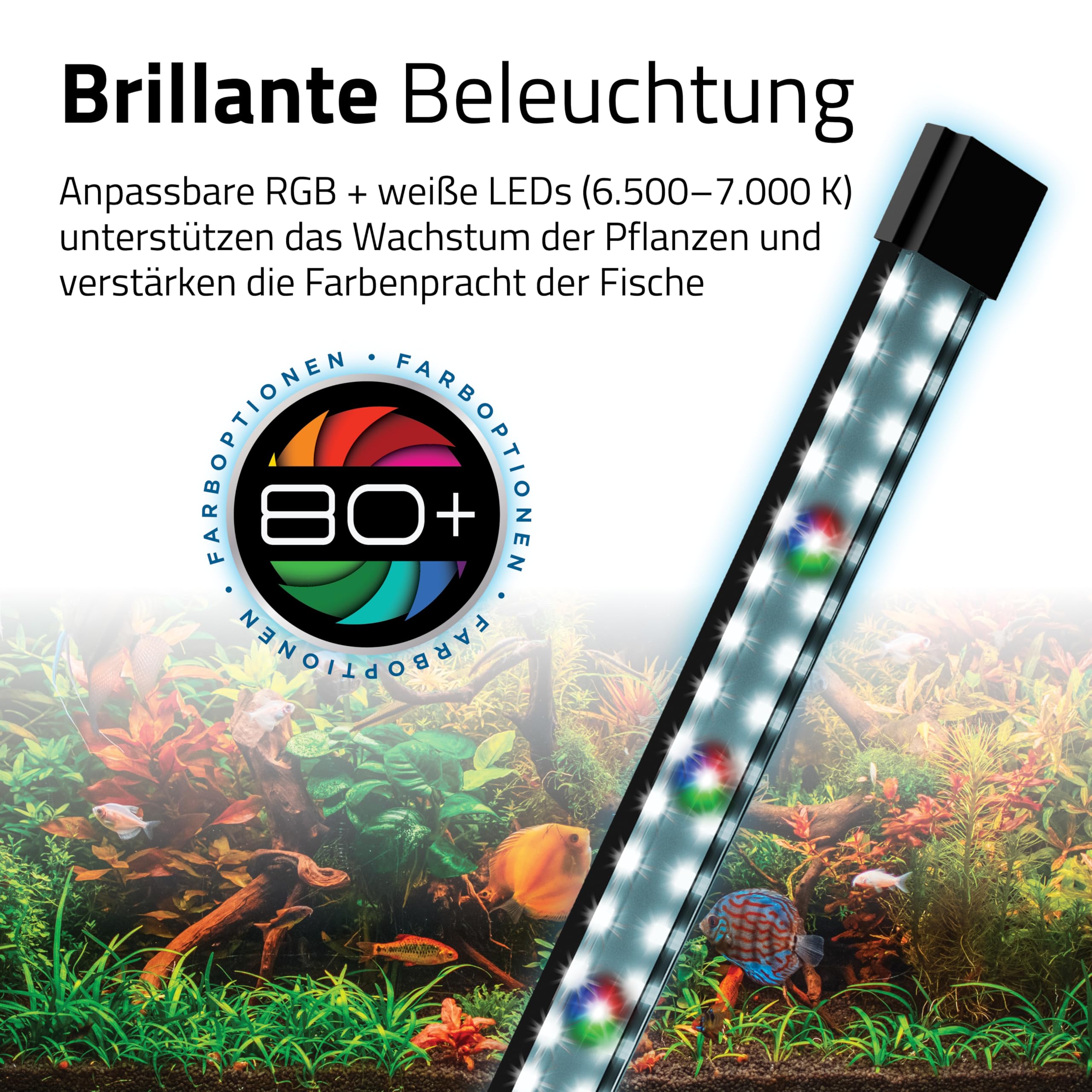 Fluval Flex 2.0 Aquarium Set 34 L, Nano Aquarium Komplettset mit geschwungener Frontscheibe, LED Beleuchtung mit Fernbedienung, integriertes 3-Stufen-Filtersystem, Fütterungsklappe und Düsenstrahlrohr