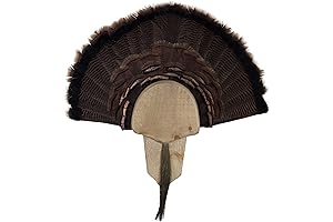 Turkey Fan Mount & Display Kit: Preserving Hunting Trophies in Rustic Elegance