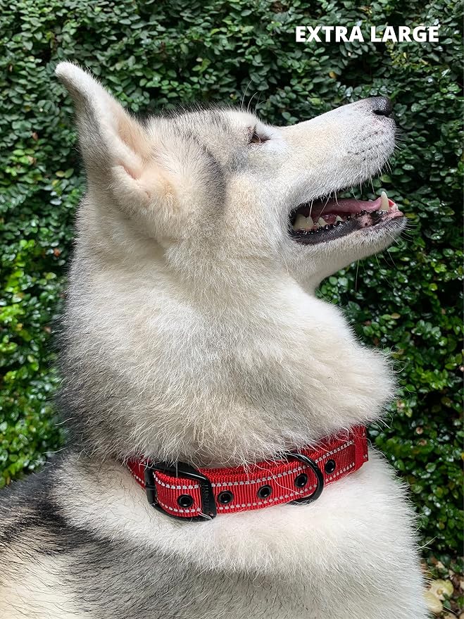 Collar para perro acolchado con neopreno y cinta balística miniatura 9