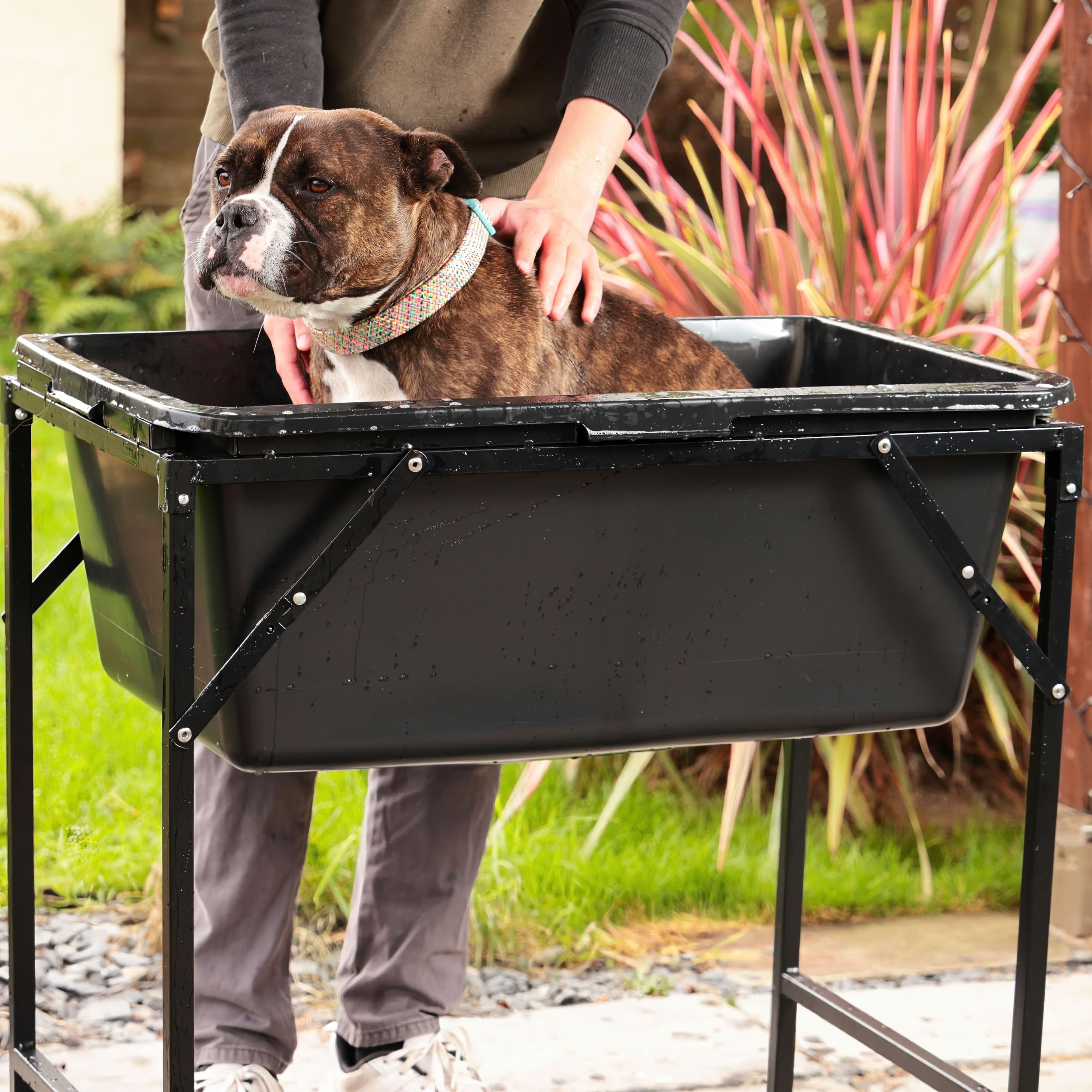 Vasca da bagno con supporto pieghevole in metallo, valvola di scarico per cani e gatti inclusa, portatile, piscina per animali domestici con rubinetto, piscina in plastica per cani, 4 misure