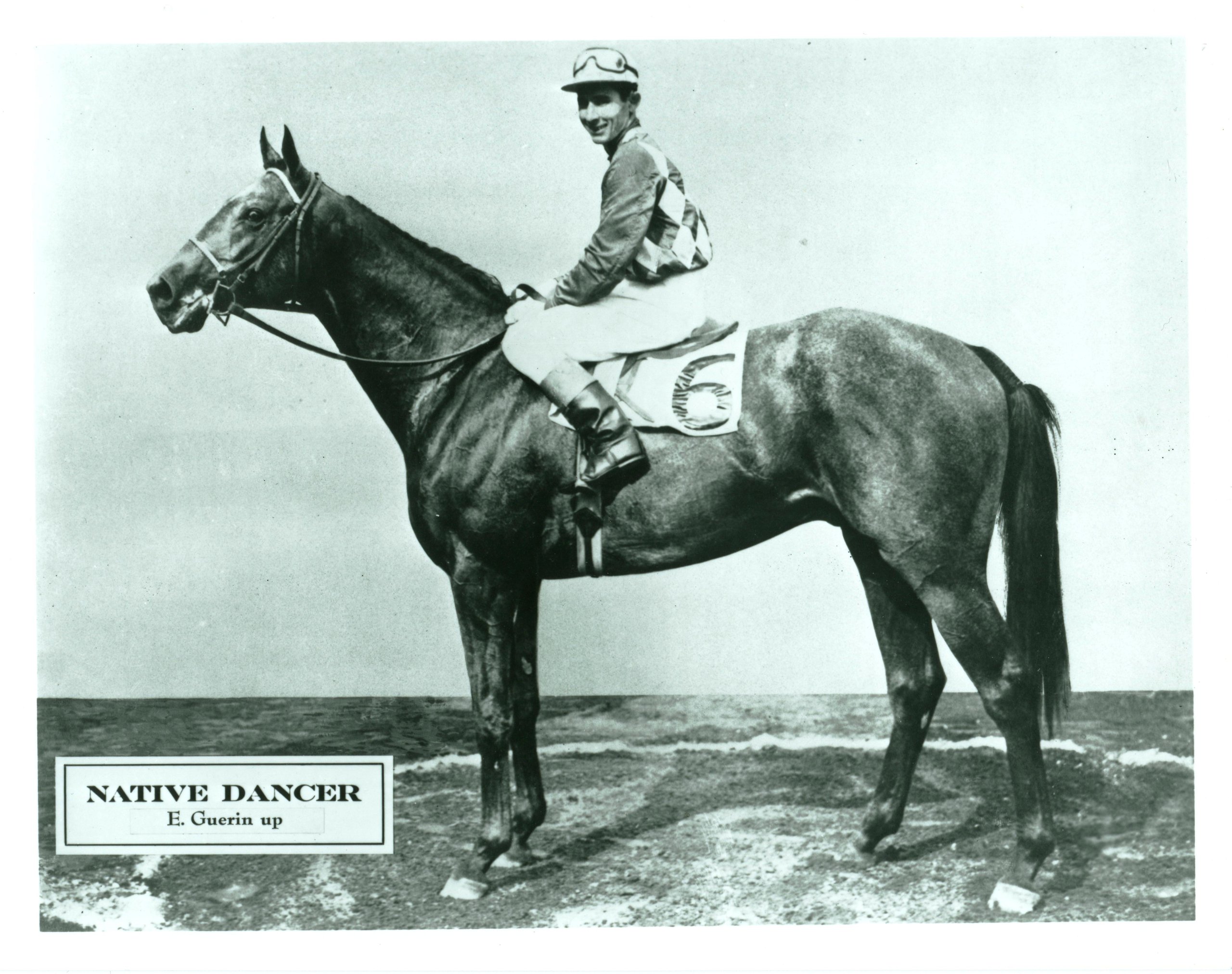 イタリー　跳ね馬 Amazon | Ferrari フェラーリ 跳ね馬 マーク 1/43 ALFA ROMEO アルファ