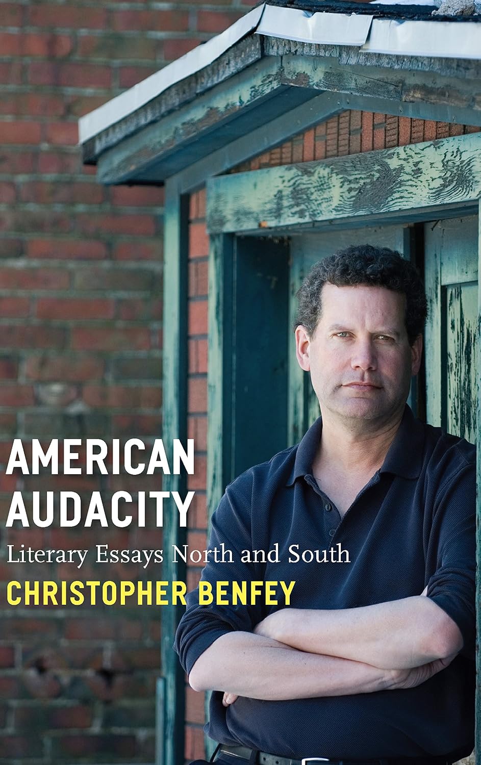 American Audacity: Literary Essays North and South (Writers On Writing)