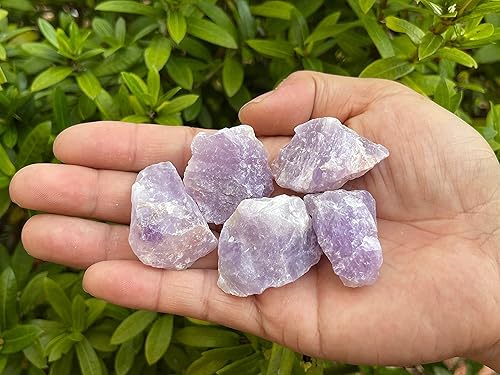 Vista 54 de GAF TREASURES Cristales de rosa del desierto crudos al por mayor, piedra natural de rosa del desierto, cristales naturales de rosa del desierto