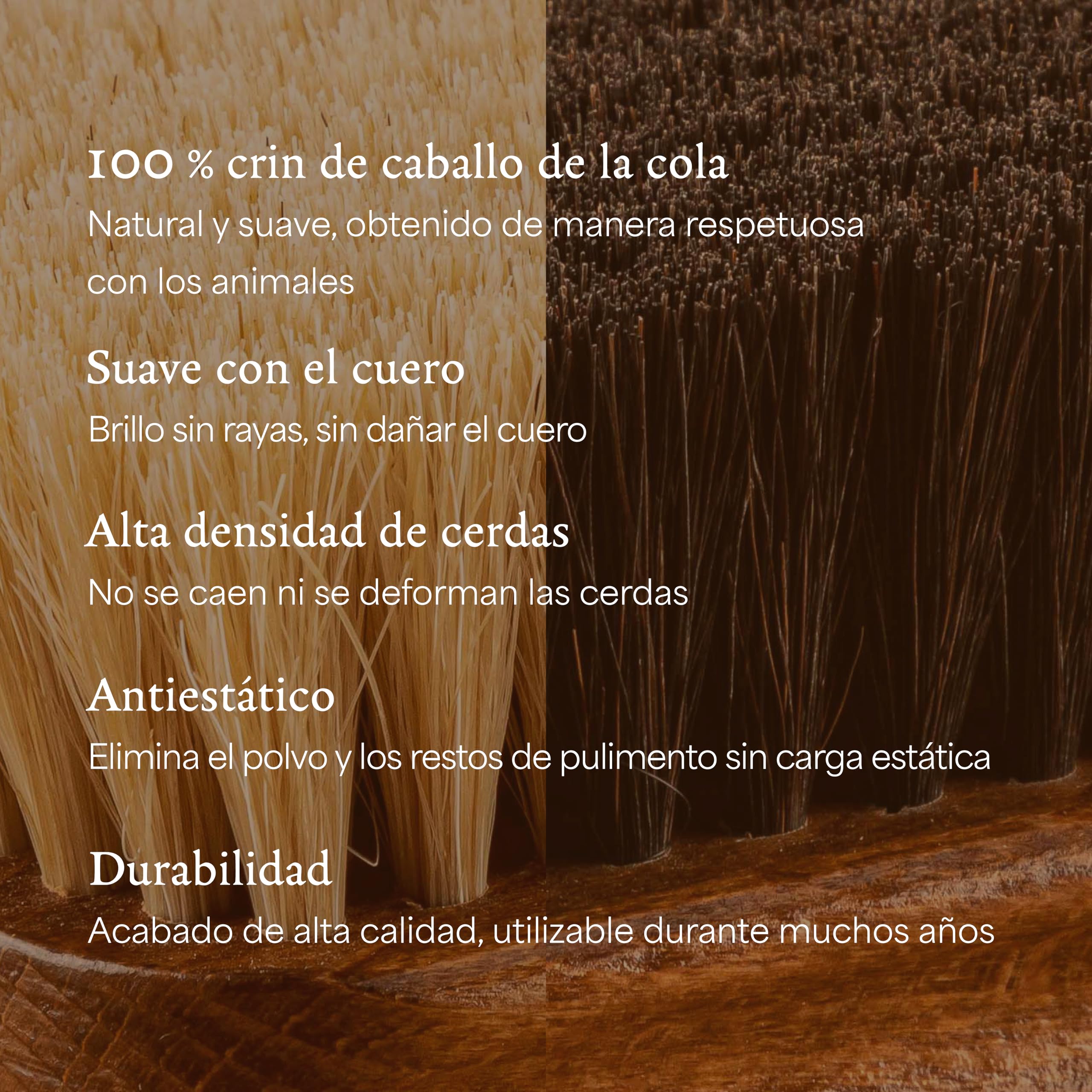 Langer & Messmer Juego de cepillos para Calzado de Crin de Caballo y Pelo de Cabra para el Cuidado Profesional del Calzado de Cuero Liso - Esencial Set de 4