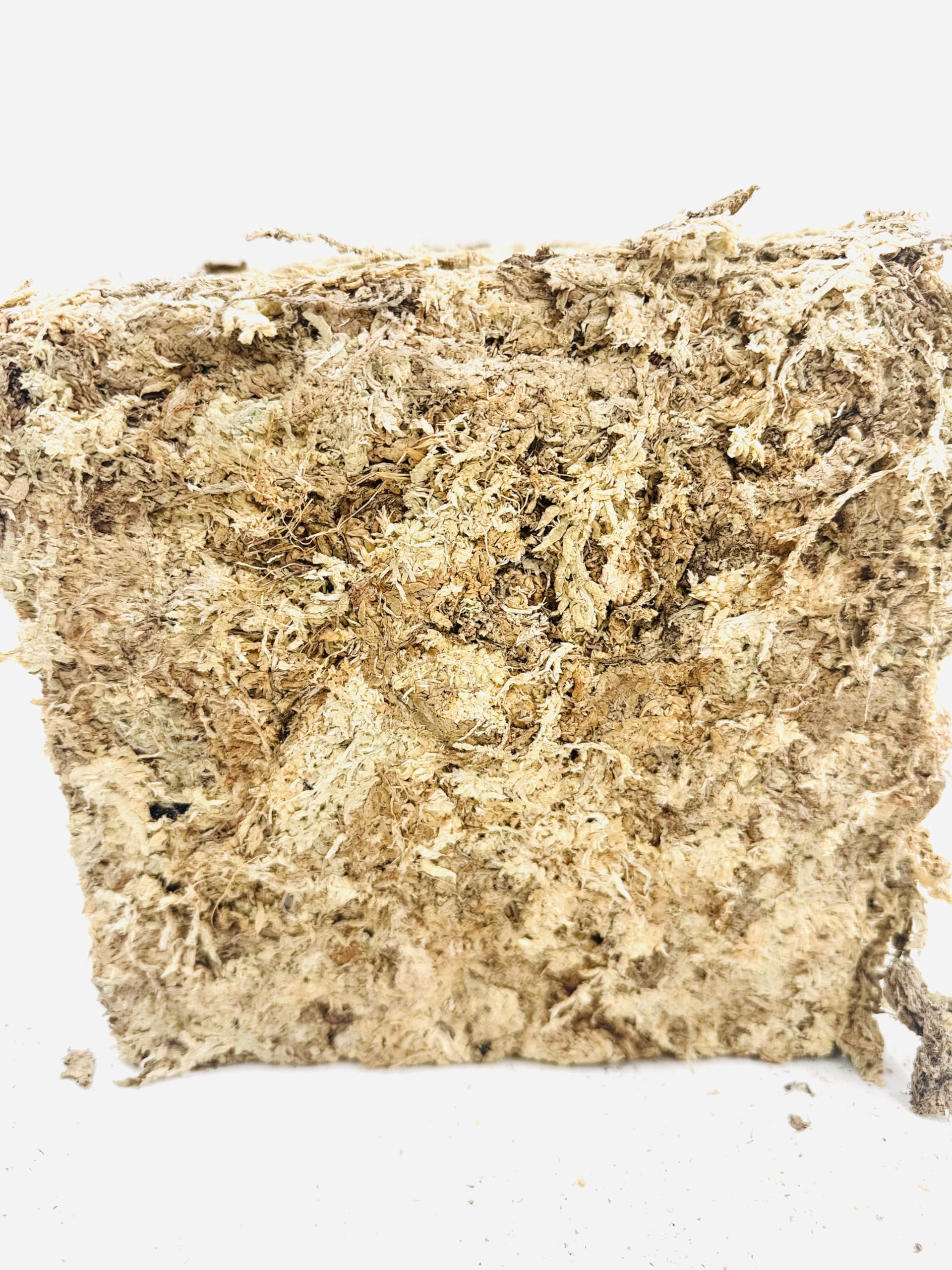 Madagaskar Sphagnum Moss – podłoże do roślin hydroponicznych – 5 litrów
