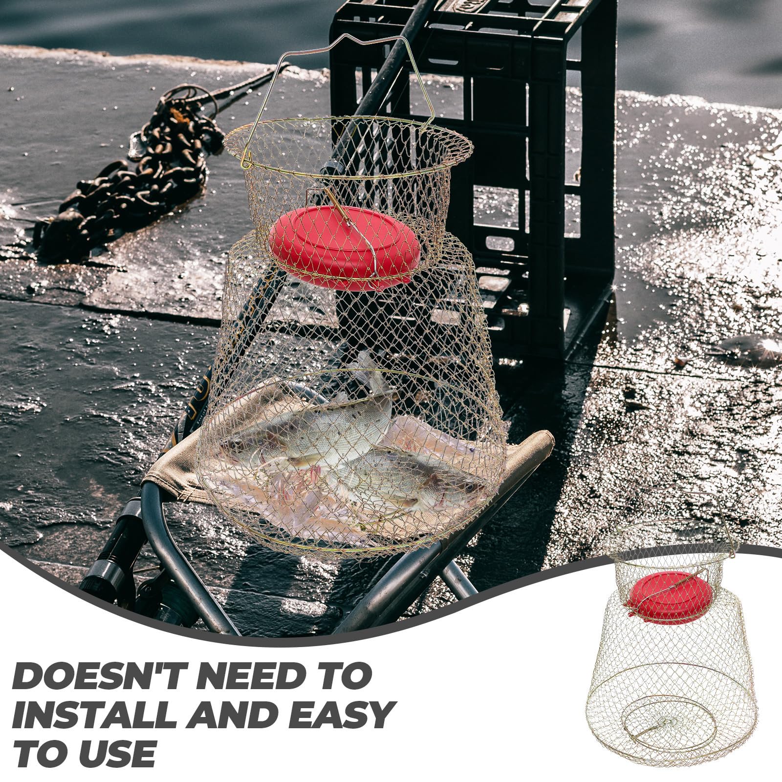 Cestino da Pesca Facile da Trasportare e Utilizzare in Ferro con Ciotola Galleggiante e Raccolta Carpe Attrezzatura Pesca per Protezione Pesci