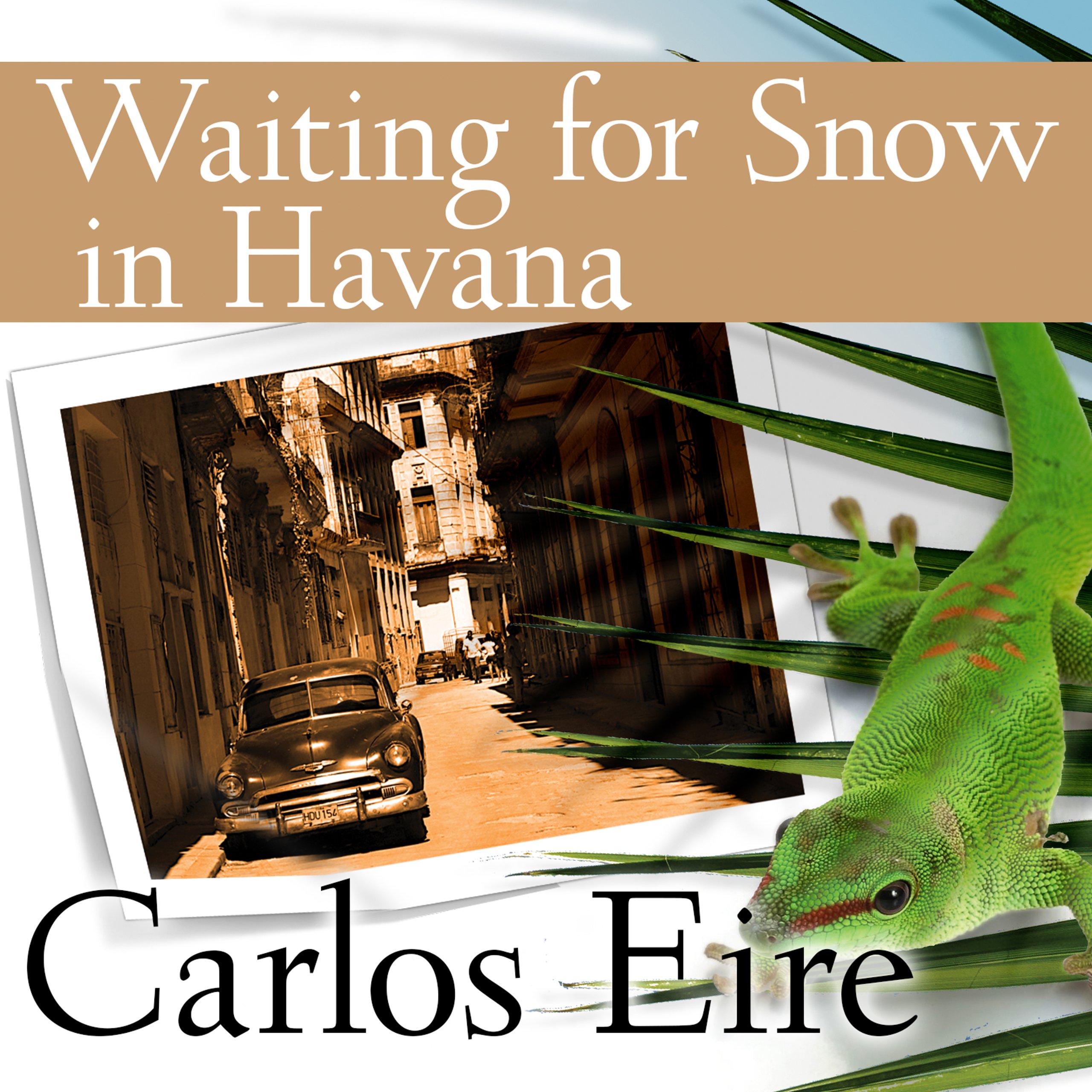 Cover art for Waiting for Snow in Havana