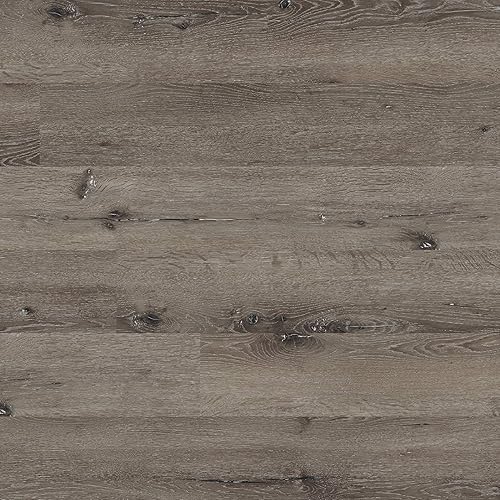 MSI Hampstead 6 inch x 48 inch Glue Down Luxury Vinyl Plank Flooring for Pro and DIY Installation 2MM Thick and 12MIL Wear Layer