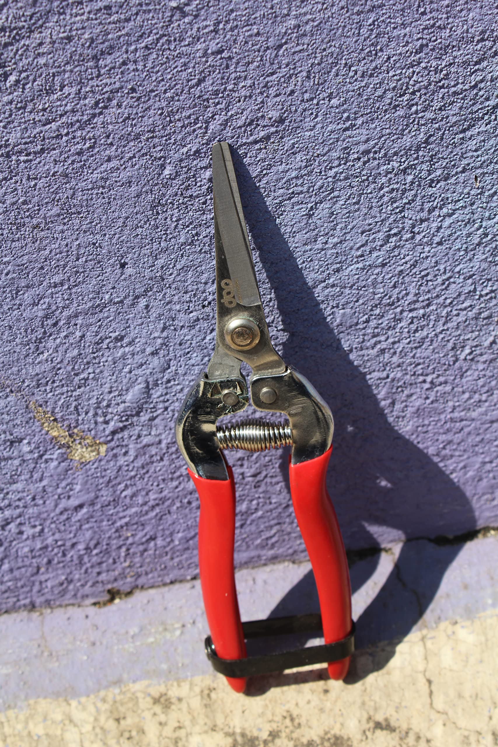 DAP - DOWNHILL AGRO PRODUCTS Fruit Snip Bypass Pruning Shears | Stainless Floqwer Bypass Pruner | With Plastic Handle Hand Pruner (B0BW9JRG4D) Amazon Price History, Amazon Price Tracker
