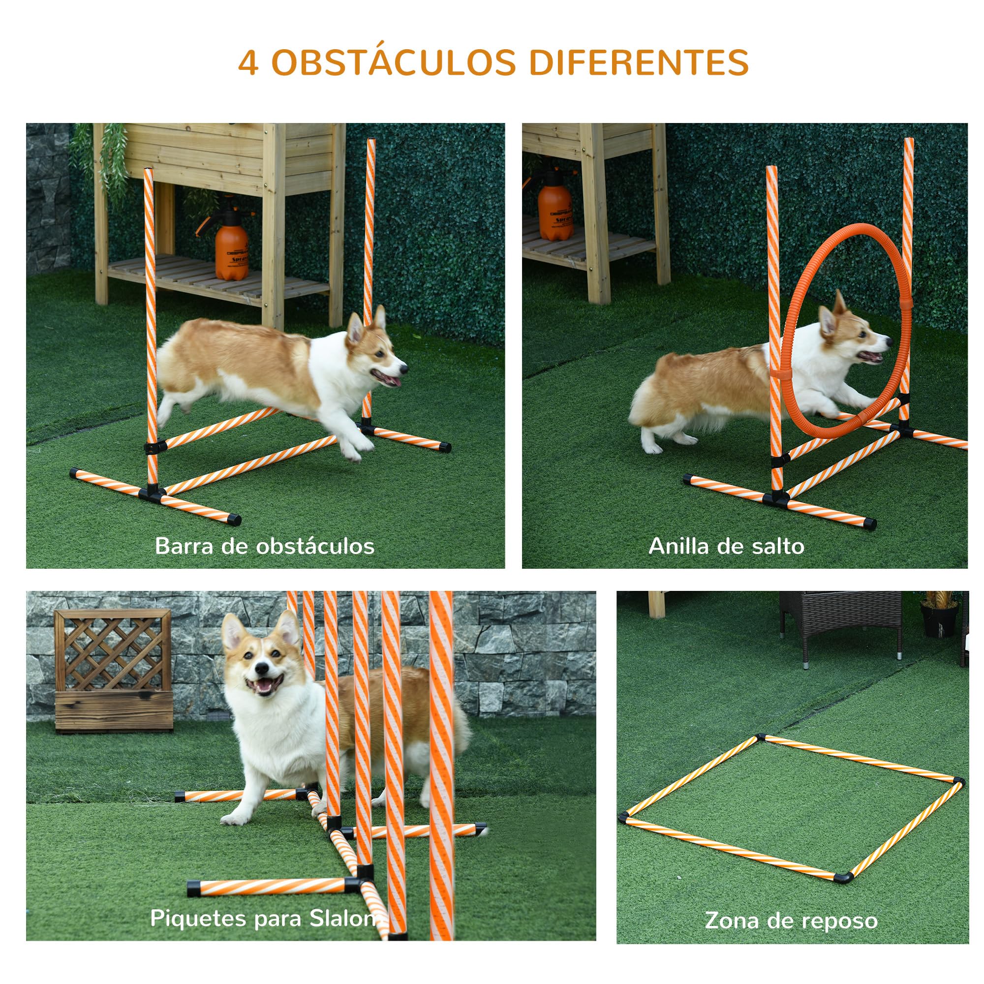 PawHut Set de Entrenamiento de Agilidad para Perros de 4 Piezas Juego de Agilidad para Perros con Piquetes para Slalom Zona de Reposo Valla y Anillo de Salto Naranja