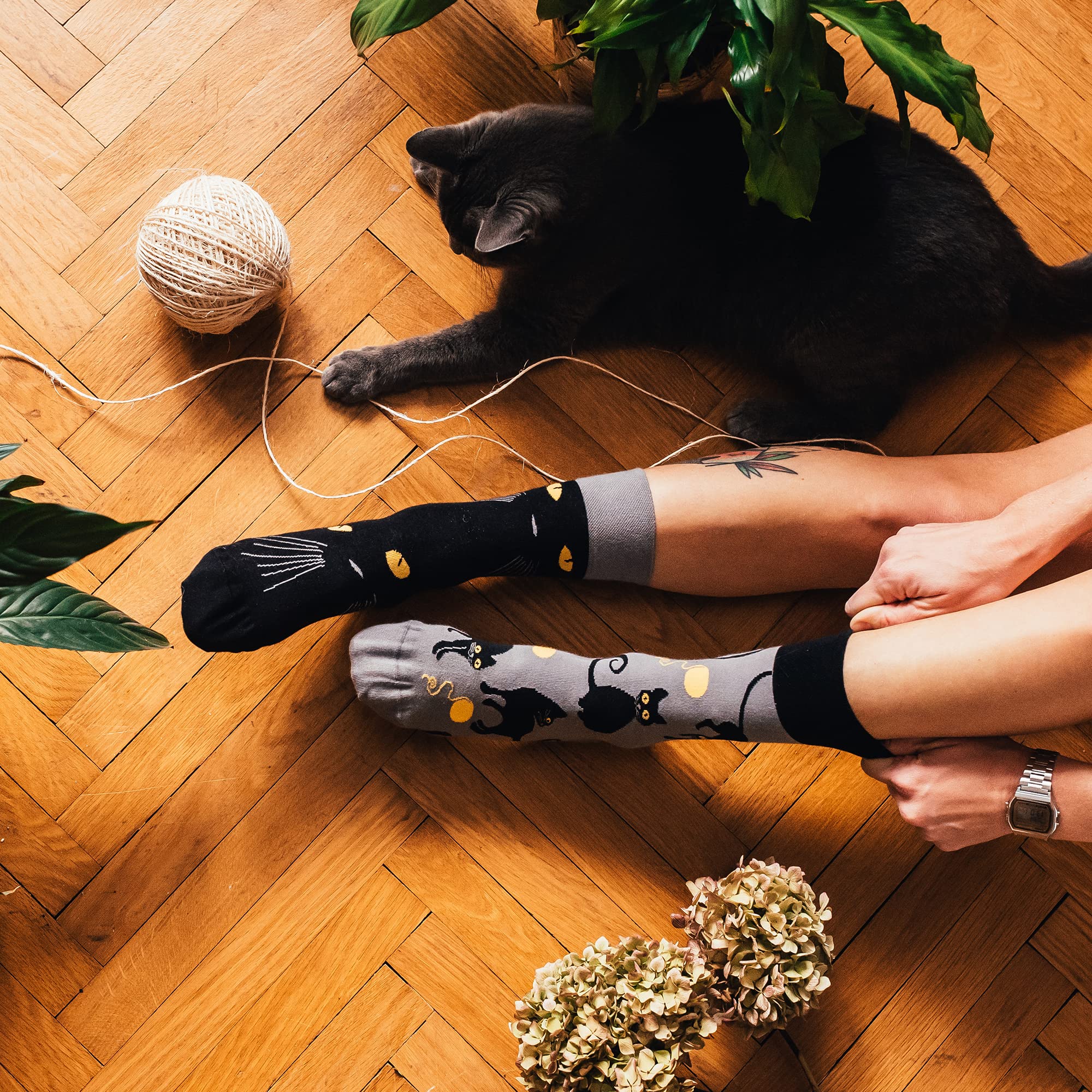 Dedoles Calzini Unisex Donna Uomo & Bambini Calze Cotone con tanti Design divertenti Calcio Bicicletta Piante Cavalli Regalo sinistra destra diversi