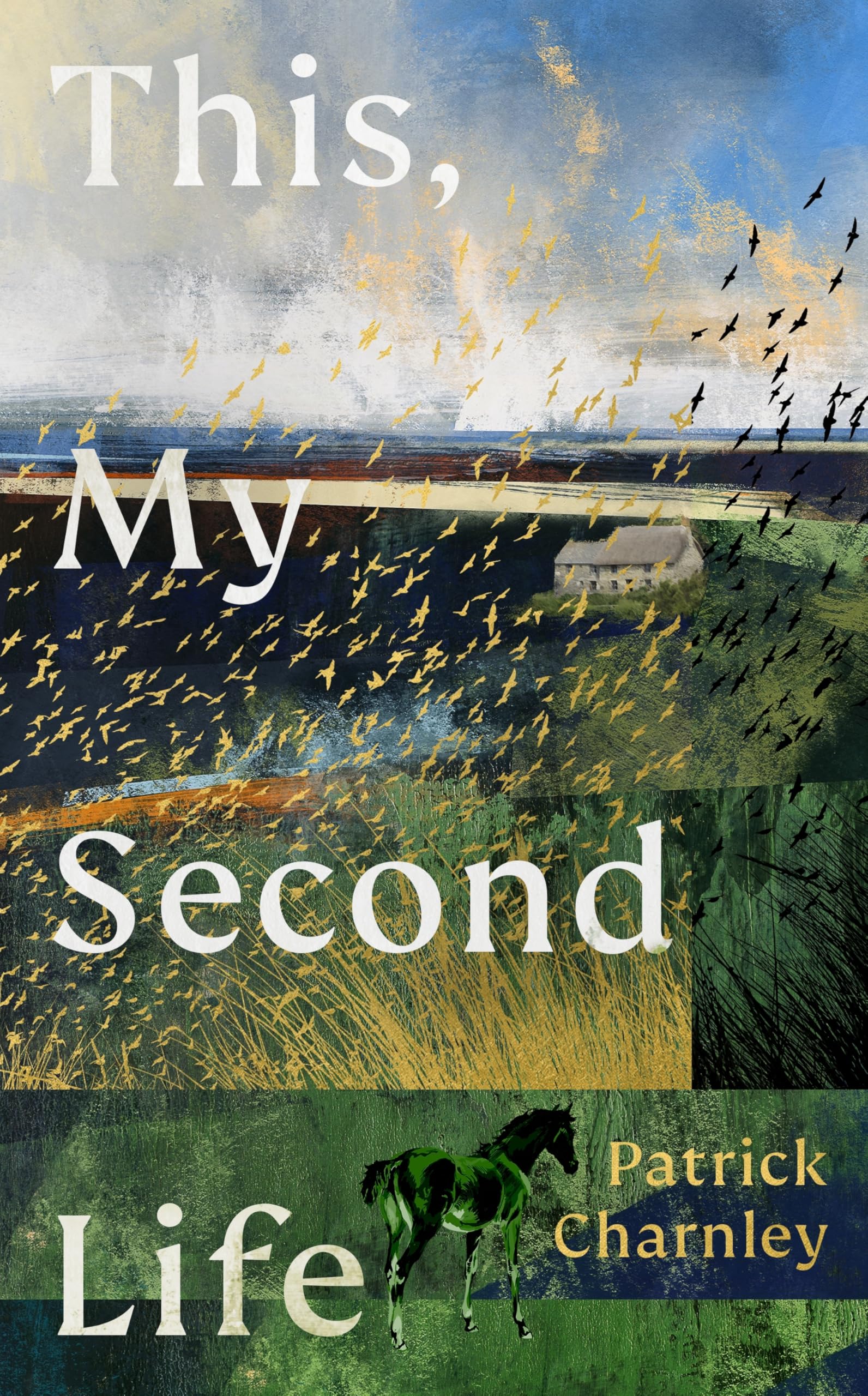 This, My Second Life