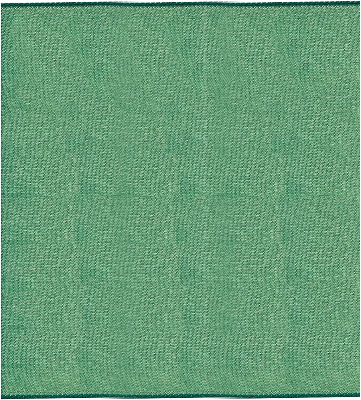 S.I.C. SIC-116 Chambray Organza Ribbon 3.9 inches (100 mm) C/#16 Young Grass x Green, 1 Roll (30 m)