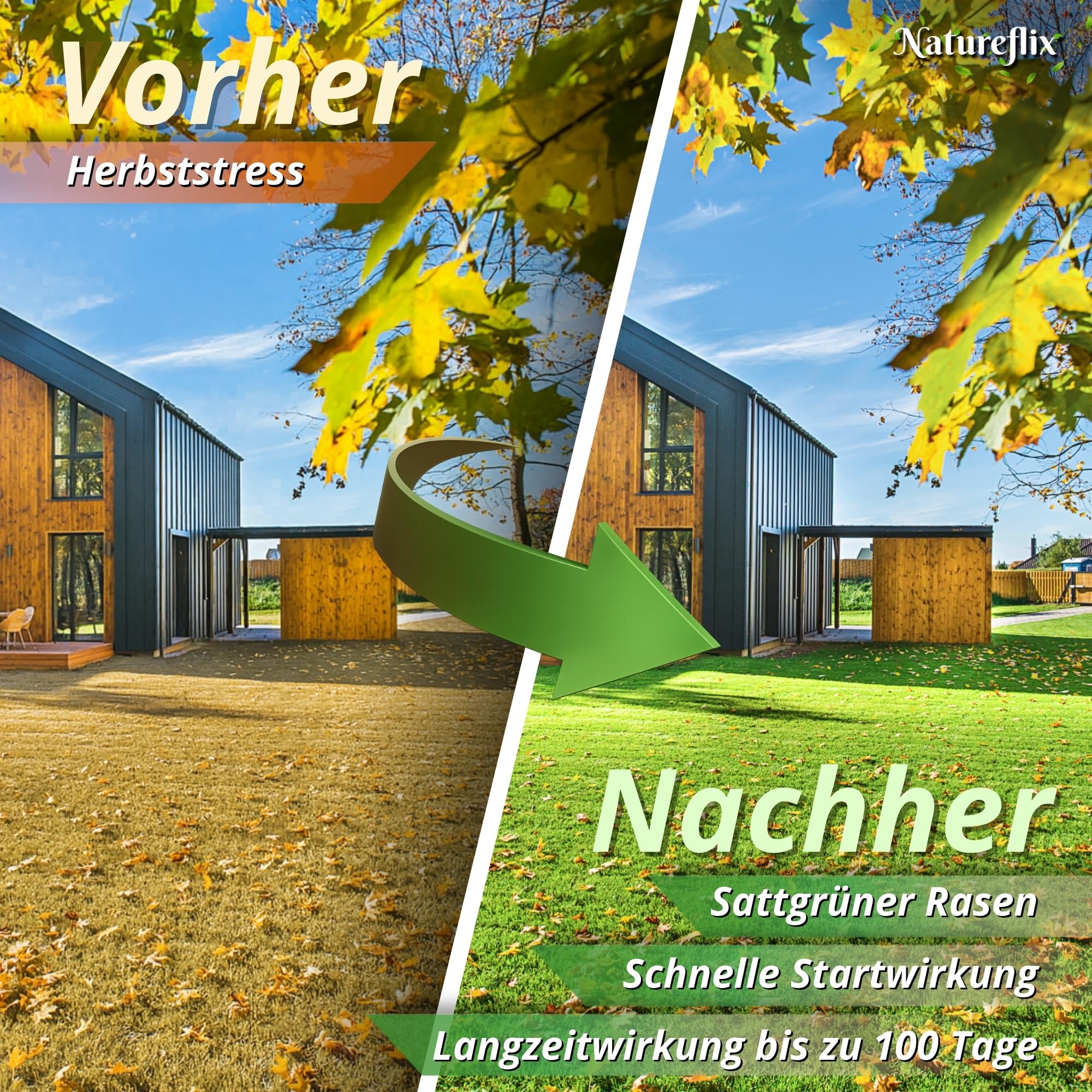 Herbstdünger Rasen | Herbstrasendünger staubarm | mit Winterschutz | Körnung 2–5 mm | Rasendünger Herbst ist Kind- & tierfreundlich (Herbstdünger, 20kg für 1000m²)