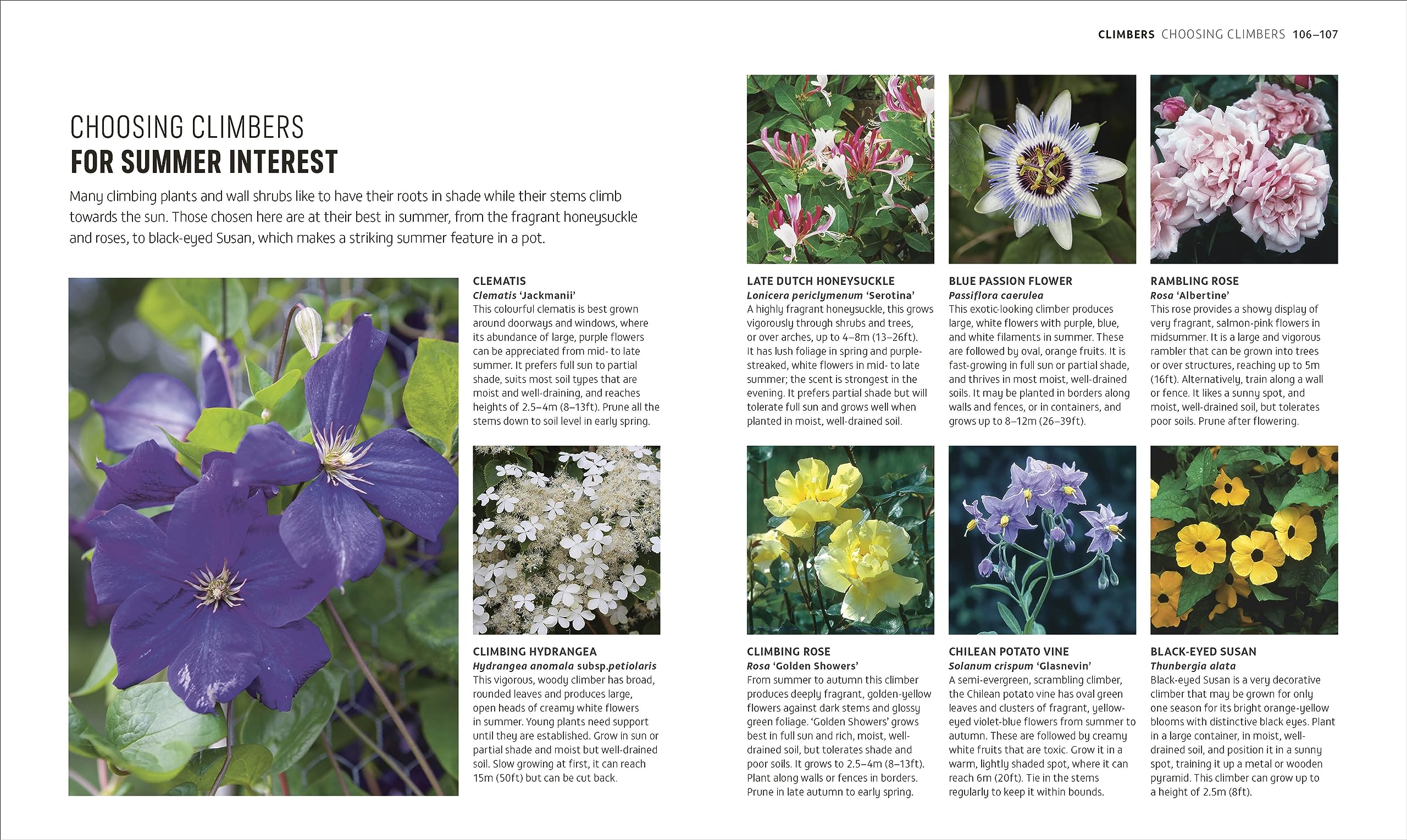 RHS How to Garden When You're New to Gardening: The Basics for Absolute Beginners