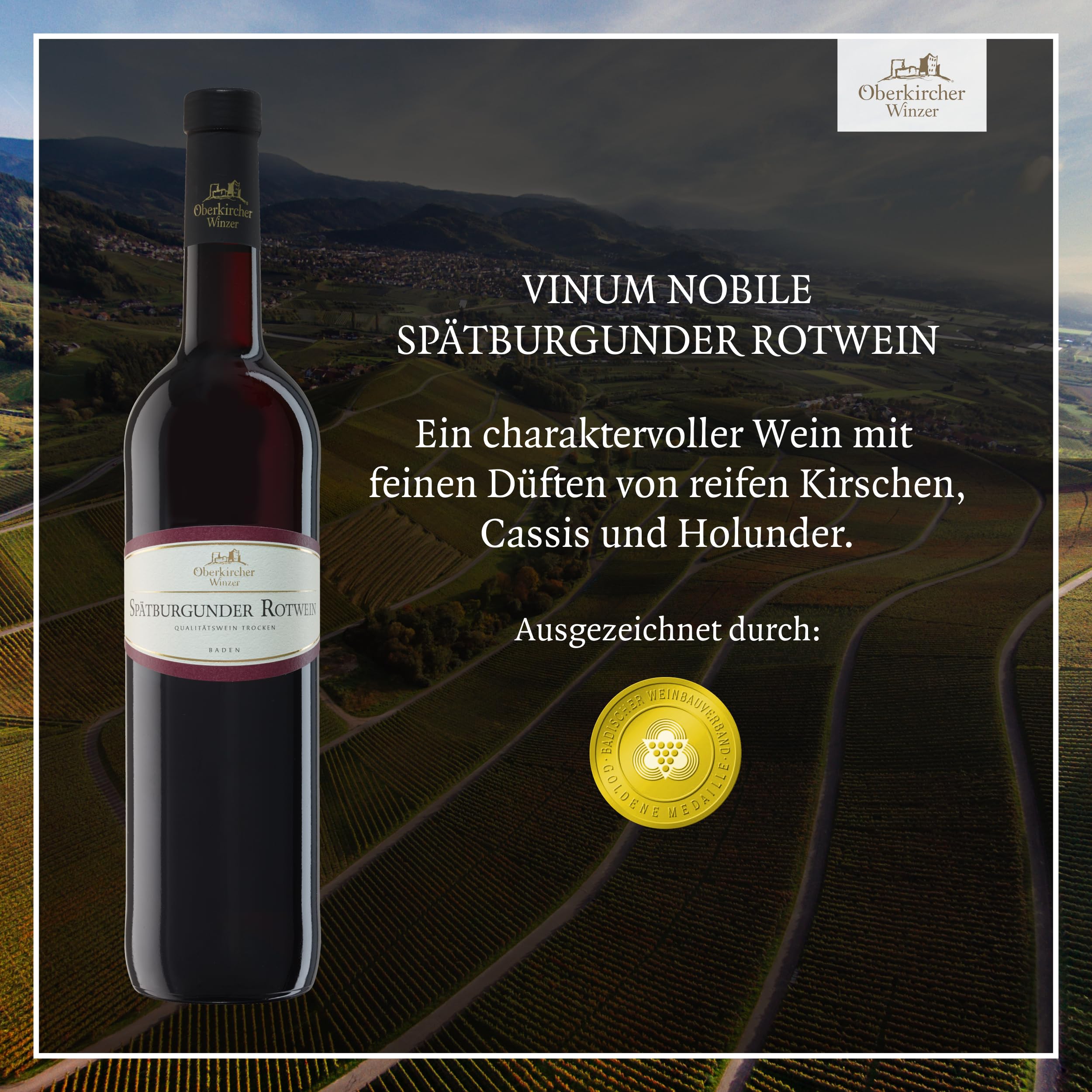 Oberkircher Winzer Wein Probierpaket - VINUM NOBILE - Riesling, Grauburgunder, Chardonnay, Spätburgunder, Merlot, Syrah - Premium Weißweine & Rotweine trocken aus Baden (6 x 0,75l)
