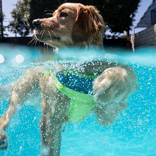 Miniatura 6 de Outward Hound - Chaqueta salvavidas para perros