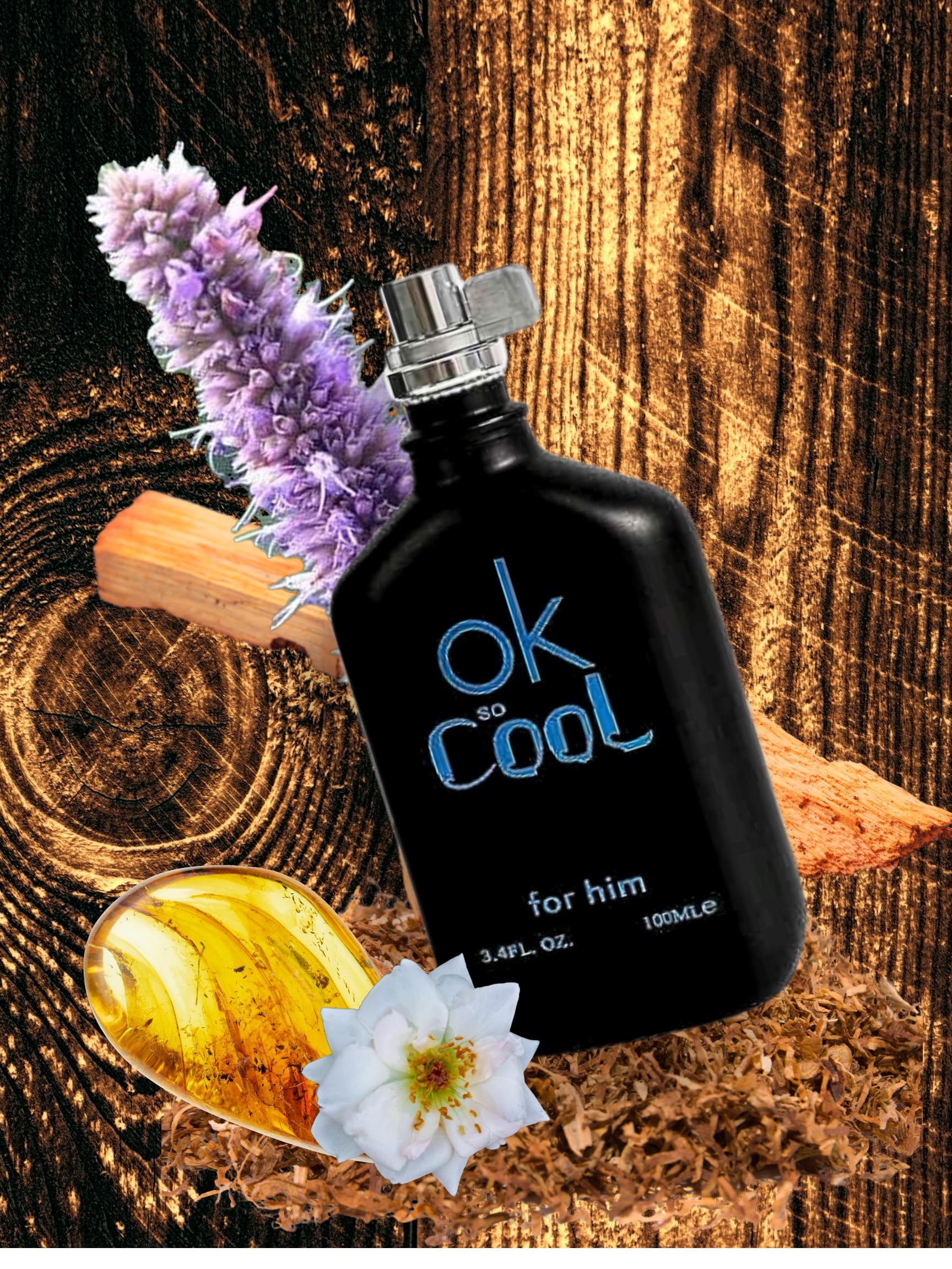 Amazon.com : OK so Cool BLACK FOR HIM EAU DE TOILETTE 3.4 FL. OZ