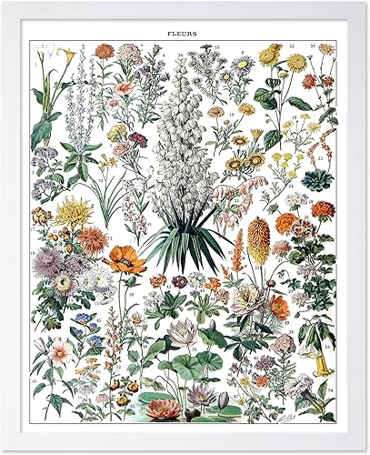 Miniatura 180 de Poster Master Póster vintage de orquídea, estampado de flores retro, arte de pared de plantas exóticas, arte botánico, regalo para hombres y