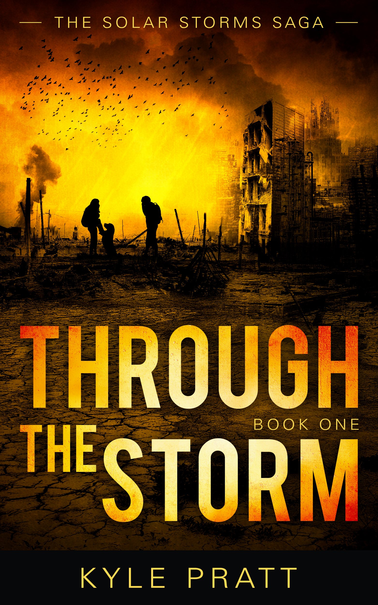 Book review of Through the Storm - Readers' Favorite: Book Reviews and ...
