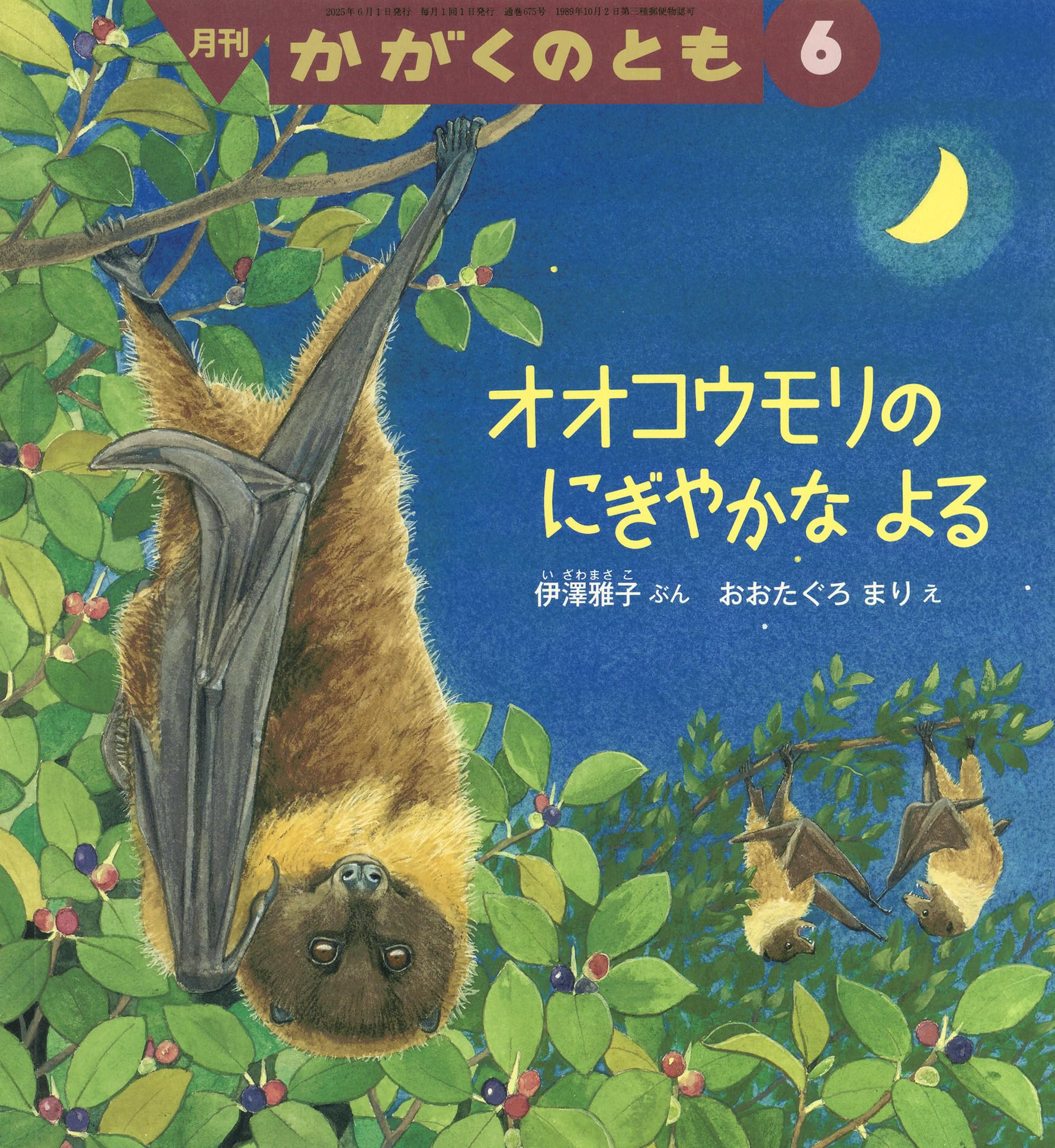 オオコウモリの にぎやかな よる (かがくのとも2025年6月号) | 伊澤