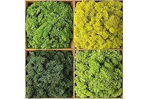 Preserved Moss Wall Panels: Enhance Ambiance with Nature's Essence