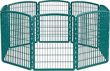 iris 8 panel exercise plastic pen