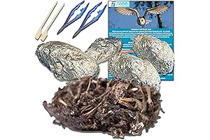 Amazing Owl Pellet Dissection Kit