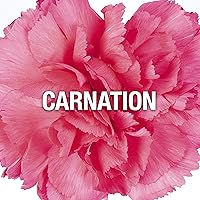 Vista 3 de Giorgio Beverly Hills Red - Perfume para mujer, Eau de Toilette EDT en aerosol, regalo para ella, 3 onzas líquidas